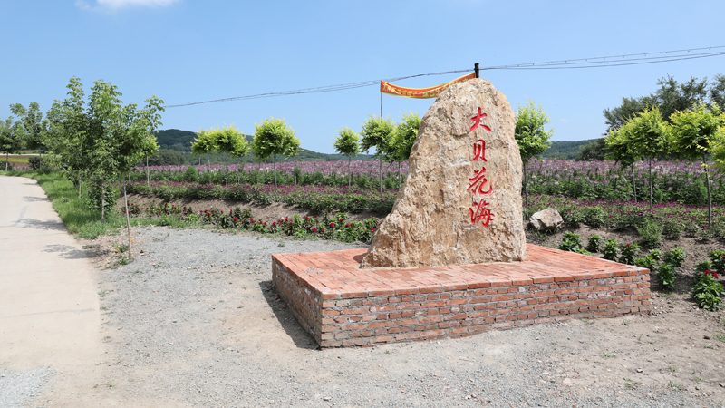 7S3A8542.jpg