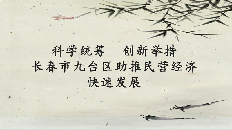 科学统筹 创新举措 长春市九台区助推民营经济快速发展（图解）.png